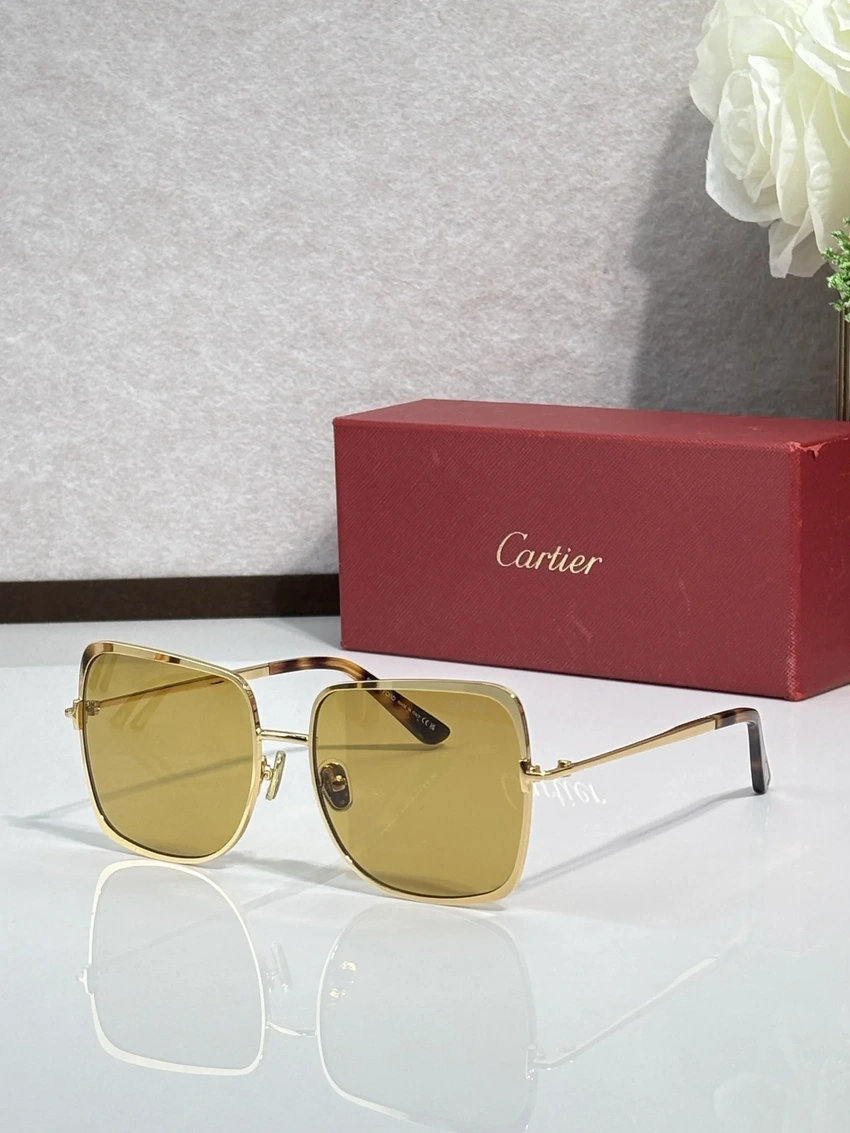 Premium Tom Ford TF1319 Square Sunglasses – Wholesale Distributor