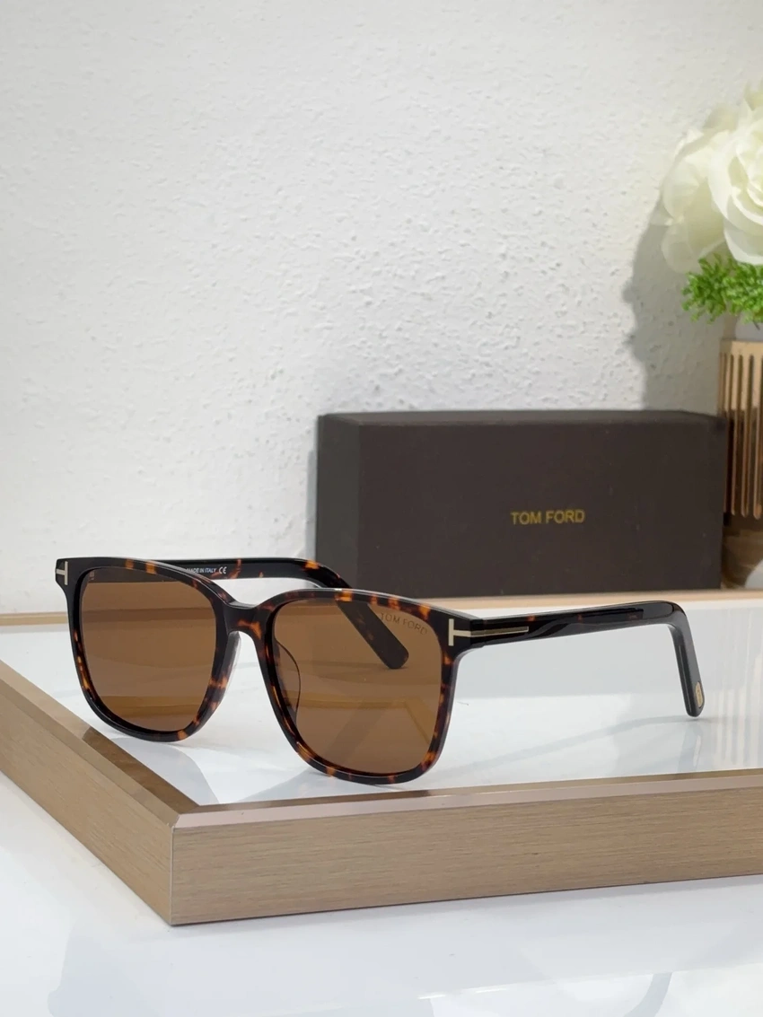 Wholesale Tom Ford TF6003 Damian Sunglasses | B2B Optical Distributor